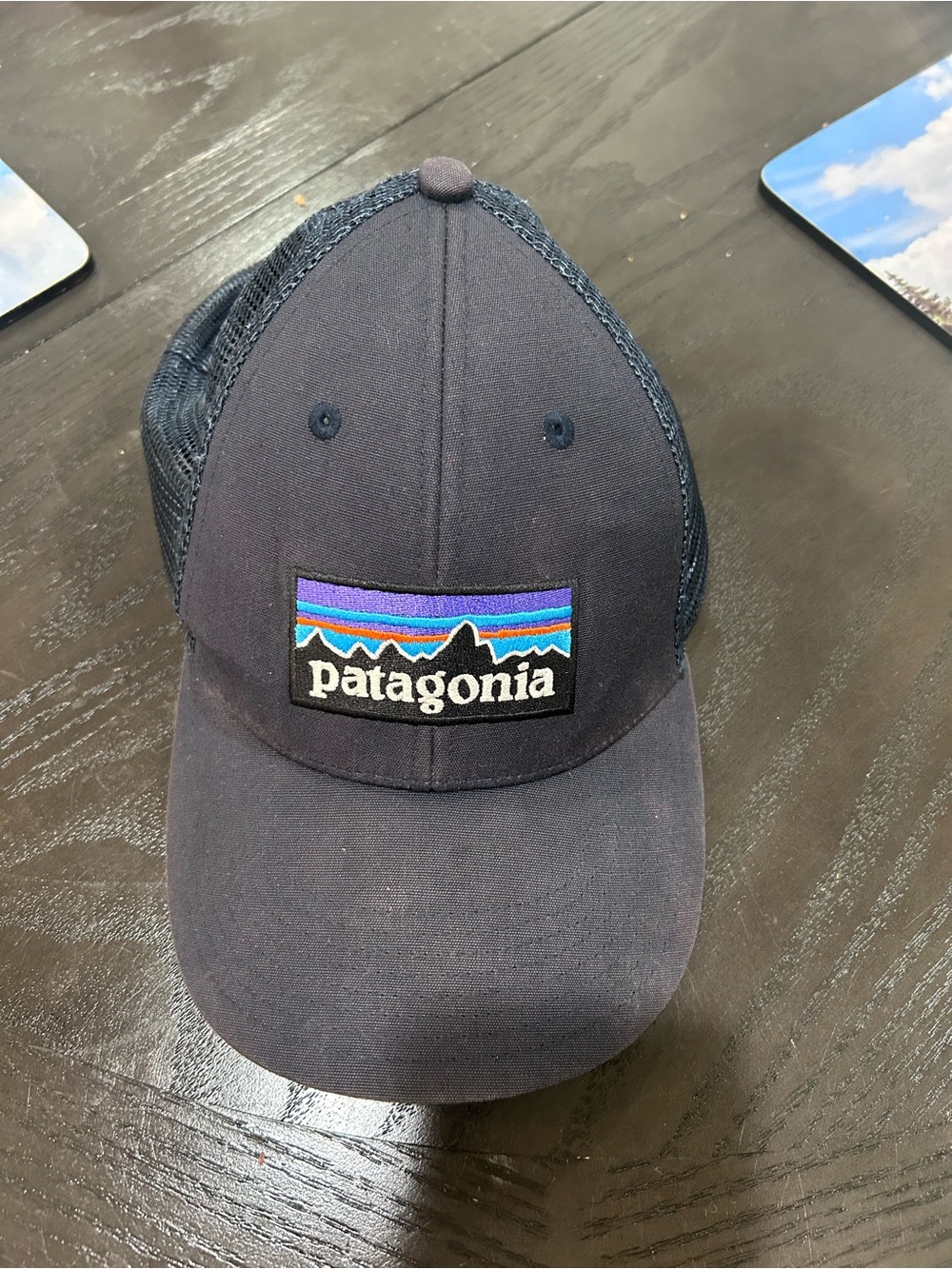 Patagonia Navy and Purple Patch Trucker Hat